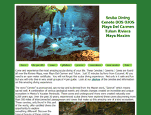 Tablet Screenshot of cenotedosojos.com